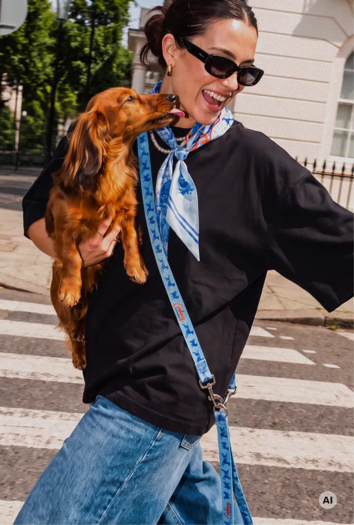 Lachende Frau mit Sonnenbrille und blauem Halstuch hält einen roten Hund auf dem Arm, der ihr das Gesicht leckt.