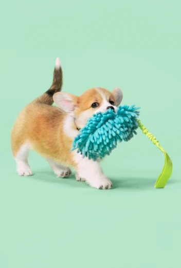 John Dog Herbst Must-Haves