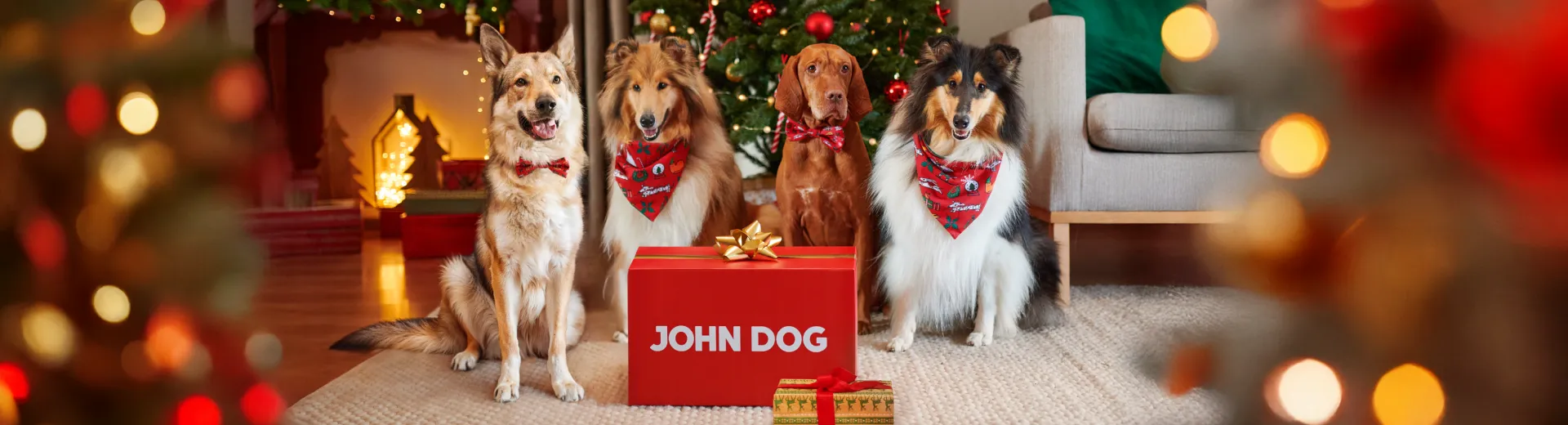 Weihnachtsbanner John Dog mit Hunden