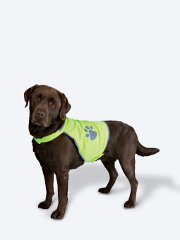 Reflektierende Weste für Hunde