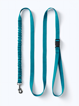Blaue gerade Leine mit Schockabsorber für Hunde von John Dog mit einer Länge von 3m.