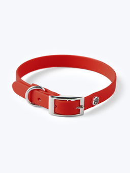 John Dog wasserdichtes Hundehalsband in candy rot mit einer Breite von 1,5 cm.
