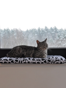 Katze liegt auf der Fensterbank auf dem John Dog for Cats Bett