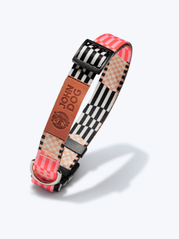 Hundehalsband mit Schnalle aus der John Dog Paris Kollektion