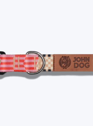 Eine Luftaufnahme eines Hundehalsbandes aus der John Dog Paris Kollektion