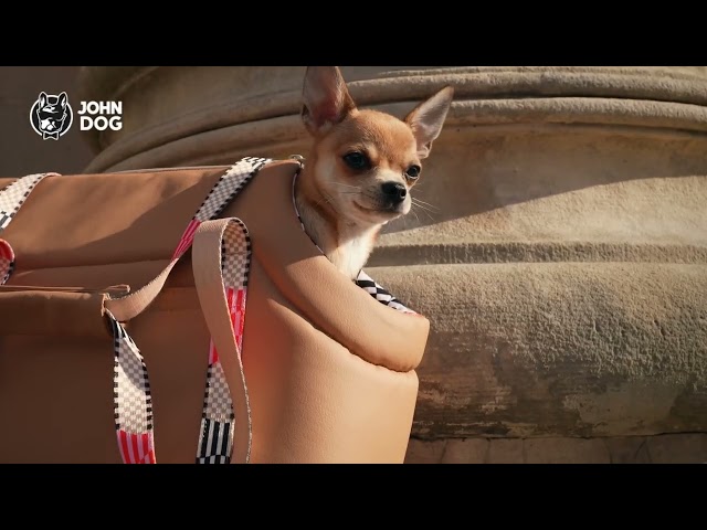 John Dog Paris-Kollektion - Vorschaubild-Video zur Bewerbung der Kollektion