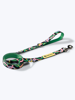 Gerade Hundeleine aus der John Dog Twist Kollektion