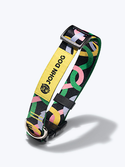 Hundehalsband mit Schnallenverschluss aus der John Dog Twist Kollektion