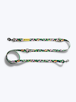 Intertwist Hundeleine aus der John Dog Twist Kollektion