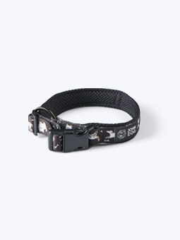 John Dog Halsband mit Schnalle, verstärkt mit Mesh, John Dog, mit Black Comics Druck.