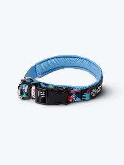 Hundehalsband mit Schnalle und blauem Mesh-Futter John Dog Barcelona