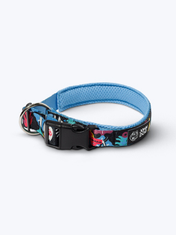 Hundehalsband mit Schnalle und blauem Mesh-Futter John Dog Barcelona