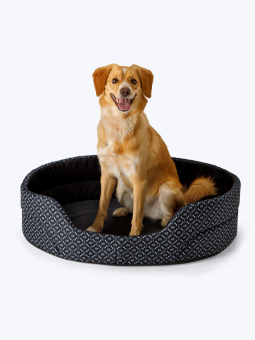 Roter Hund sitzt im ovalen Hundebett aus der John Dog Black Kollektion