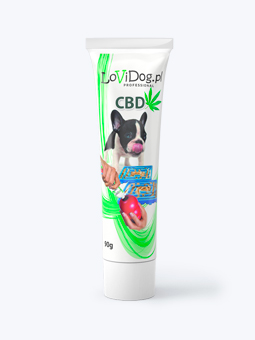 Lovidog CBD Hundepaste in der Tube