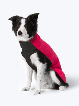 Eine sitzende Border Collie-Hündin trägt ein rosa Fleece-Hunde-Sweatshirt von John Dog
