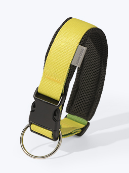 Colour collection Hundehalsband von John Dog, gelb und schwarz.