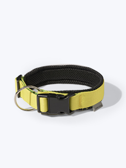 Colour collection Hundehalsband von John Dog, gelb und schwarz, gefüttert mit Mesh.