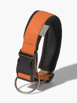 Orange-schwarzes Hundehalsband aus der Colour-Kollektion von John Dog.