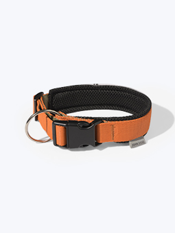 John Dog Halsband aus der Colour Kollektion von John Dog, orange und schwarz, gefüttert mit Mesh.