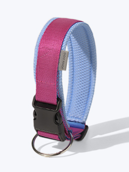 Colour collection Hundehalsband von John Dog, rosa und blau.