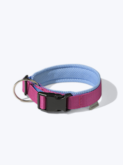 Colour collection Hundehalsband von John Dog, rosa und blau, mit Mesh gefüttert.