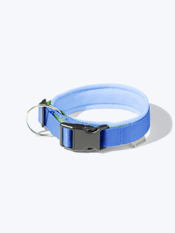 Hundehalsband, blau und grün, zweifarbig, aus der Colours Kollektion von John Dog.