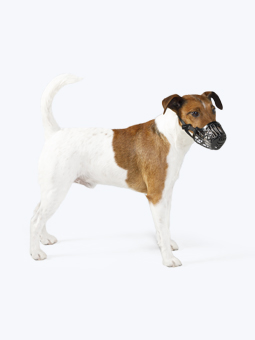 Foxtrot in schwarzem Nylon Hundemaulkorb