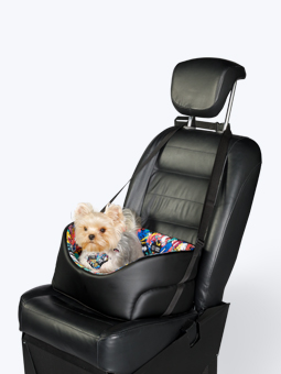 York in einem Hundeautositz aus der John Dog Barcelona Kollektion