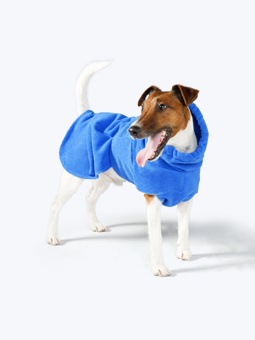 Foxterrier-Hund im weichen blauen Hundebademantel von John Dog