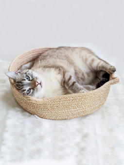 Rundes Katzenbett mit kariertem Kissen von John Dog für Katzen
