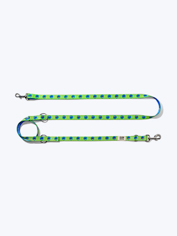 Auswechselbare Leine für Hunde, hey, wuff, hallo! Kollektion in blau und grün, Marke John Dog.