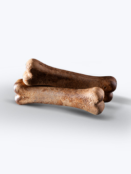 Hypoallergenes Hundeleckerli auf Insektenbasis Knochen John Dog Soft