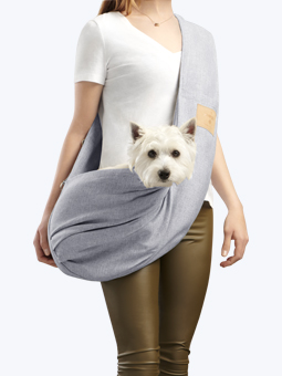 West Highland White Terrier Hund in grauem Transportbehälter von John Dog
