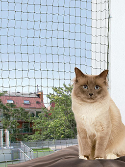 Katze auf Balkon mit Schutznetz