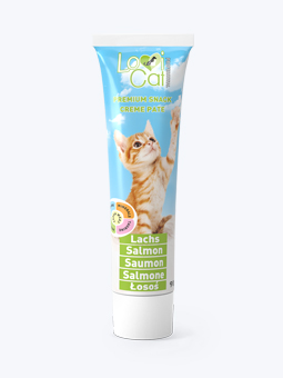 Lachspastete für Katzen von LoviCat.
