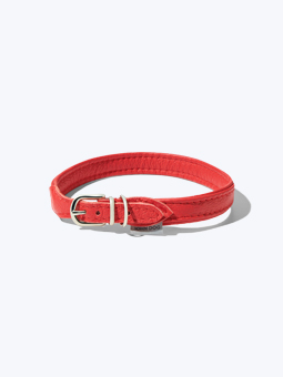 Rotes Hundehalsband aus Leder, Ansicht des Halsbandes im Liegen, von der Verschlussseite, John Dog, Auflistung