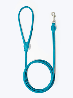Seafoam-farbene einfache Hundeleine aus Leder, Ansicht der leicht gewickelten Leine mit geöffnetem Griff und Verschluss, John Dog, Angebot