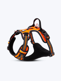 Hundegeschirr, in Orange, Seitenansicht. Premium, Marke TruLove.