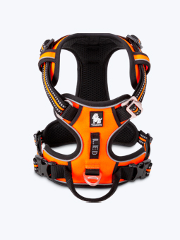 Hundegeschirr, in Orange, Vorderansicht. Premium, Marke TruLove.