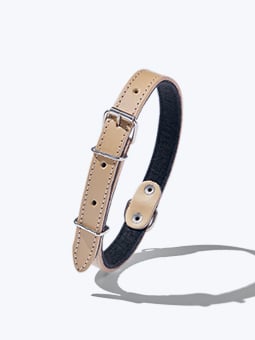 Hundehalsband aus Leder in Beige, Farbton Cappuccino, Marke John Dog, mit Logoprägung und abgebildeten Metallteilen und Verschlüssen.