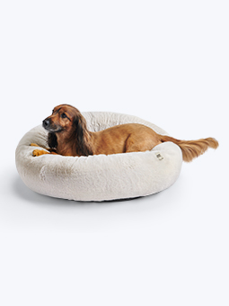 Ein Hund vom Typ Cockerspaniel liegt auf einem ovalen Reifenbett in Beige und Creme von John Dog.