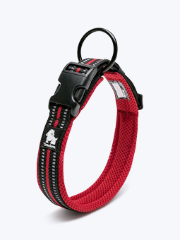 Hundehalsband, rot-schwarze Farbe, Augenansicht, Truelove.