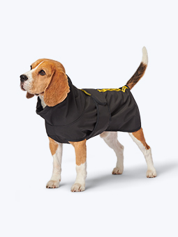 Ein Beagle-Hund in einer schwarzen Jacke aus der Paws by Your Side Kollektion der Marke John Dog.