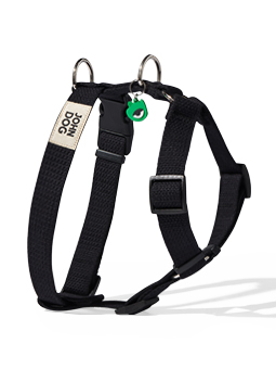 Schutzgeschirr aus der hey hau hello Kollektion, Marke John Dog, Farbe schwarz.