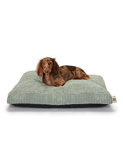 Ein kleiner braunhaariger Dackel liegt bequem auf dem mintfarbenen WAVY-Modellbett von John Dog. Das Bett hat eine gestreifte Textur und weiches Material, das deinem Hund Komfort bietet.