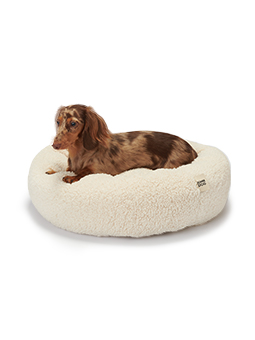 Ein kleiner Dackel ruht friedlich auf dem WOOLY Rondellbett von John Dog. Der weiche, flauschige ecrufarbene Stoff umhüllt den Hund und bietet ihm einen gemütlichen und sicheren Platz zum Ausruhen.