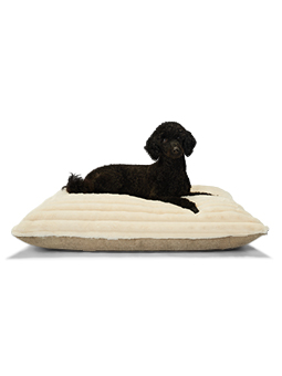 Das Bild zeigt einen schwarzen Hund, der auf einem großen, weichen BLISS-Kissen von John Dog in Creme liegt. Das Bett bietet Komfort und Bequemlichkeit für dein Haustier.