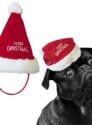 Weihnachtliche Nikolausmütze für Hunde 11 x 18 cm Nobby